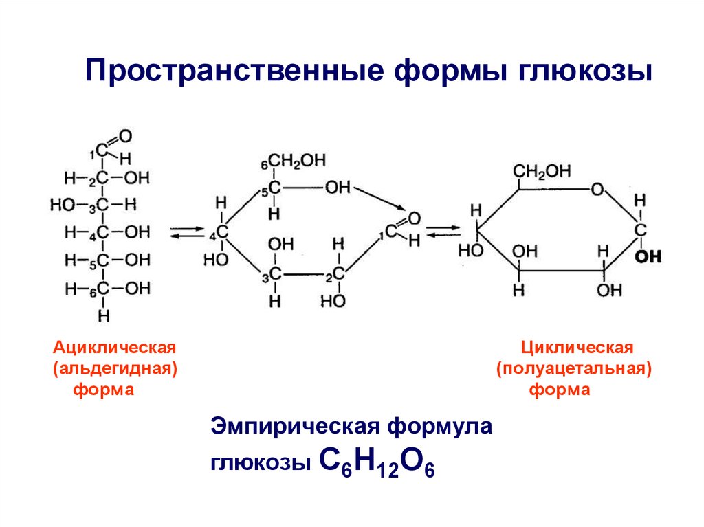 Формулой глюкозы является. Глюкоза Ациклическая формула. Пространственная формула Глюкозы. Эмпирическая формула Глюкозы. Глюкоза циклическая и Ациклическая форма.