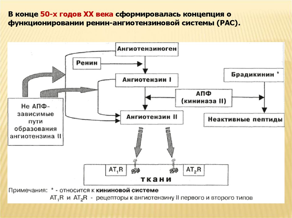 Схема раас биохимия