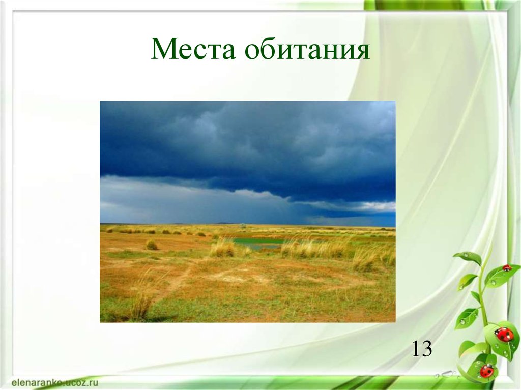 Места обитания