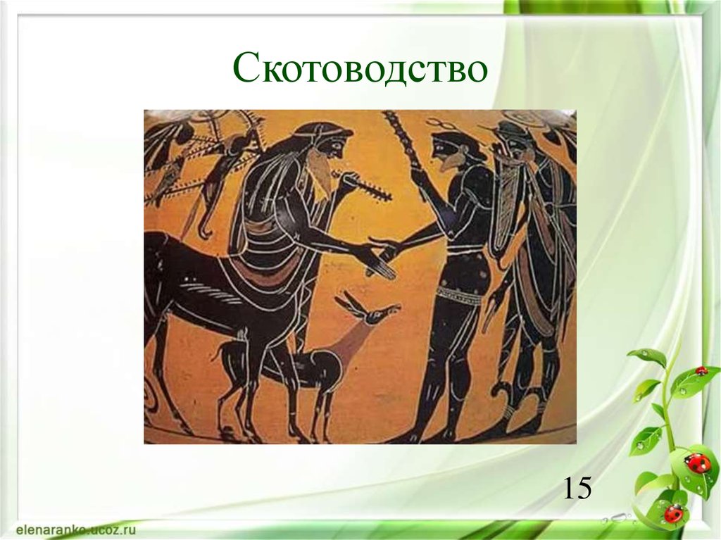 Скотоводство