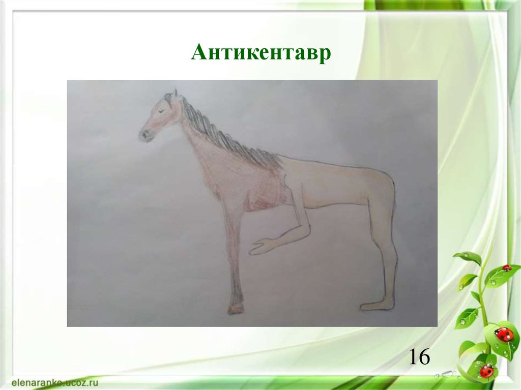 Антикентавр