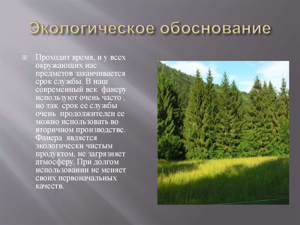 Экологическое обоснование проекта по технологии из фанеры