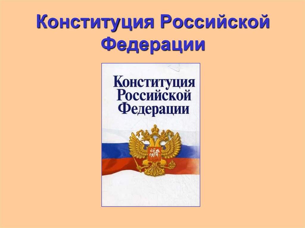 Презентация по конституционному праву