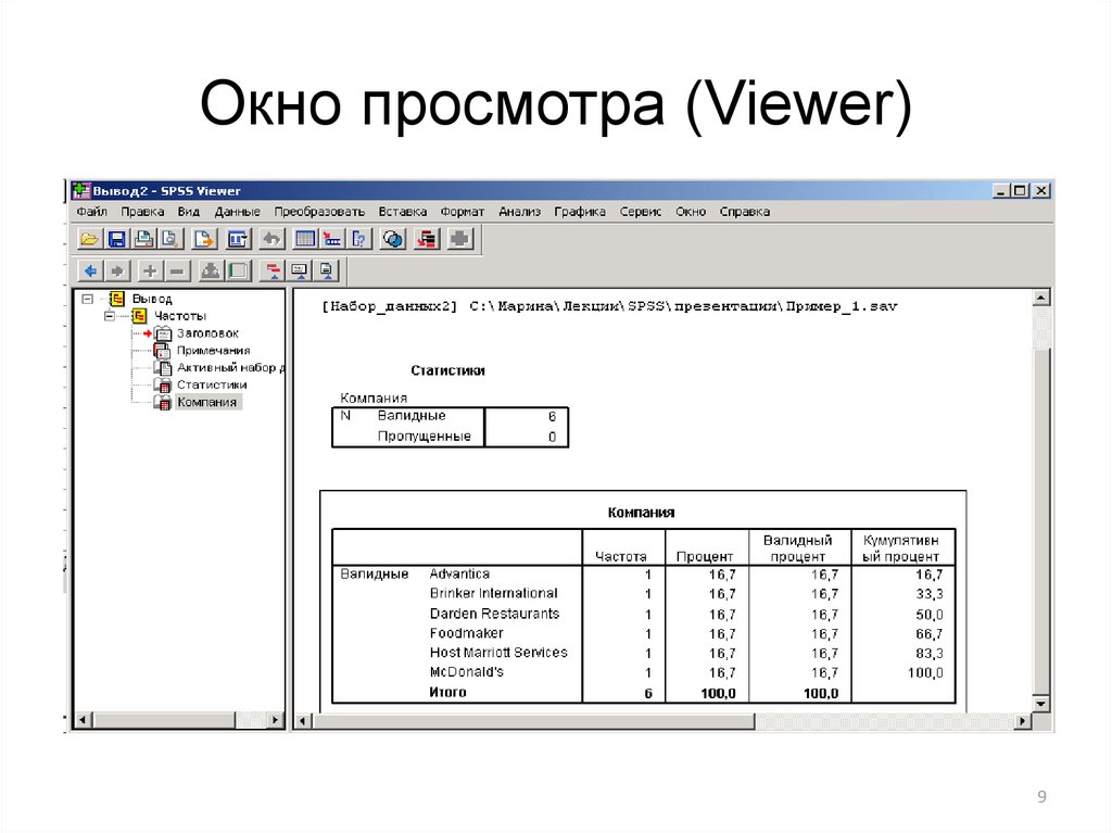 Страница наборов данных. Окно просмотра. Excel va SPSS ppt.