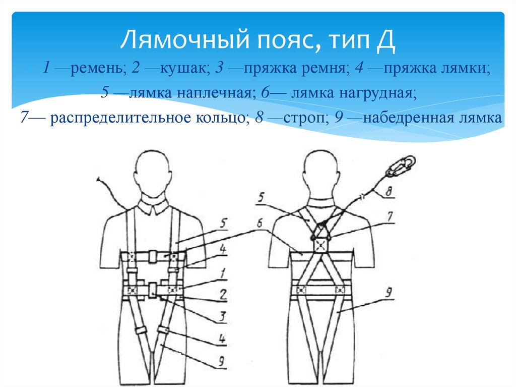 Пояс разновидность. Пояс лямочный Тип д(е). Типы лямочных поясов. Страховочный ремень схема. Монтажные пояса виды и типы.