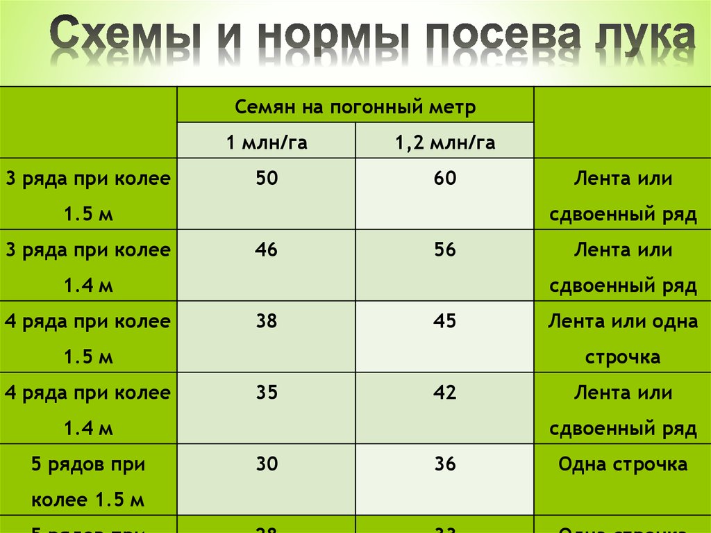 Сколько семян. Нормы посадки лука. Норма высева лука севка на 1 га. Норма посадки лука на луковицу. Нормы высева лук.