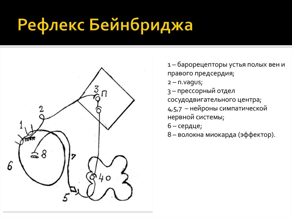 Рефлекс парина схема