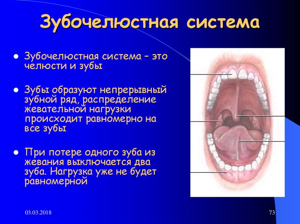 Возрастные изменения зубов презентация