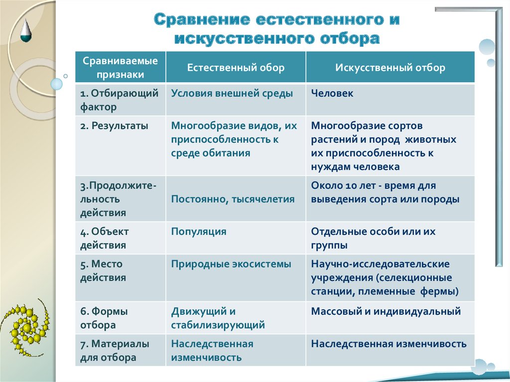 Естественный и искусственный. Сравнение искусственного и естественного отбора таблица 9 класс. Отбирающий фактор искусственного отбора. Сходства и различия естественного и искусственного отбора. Отбирающий фактор естественного отбора.