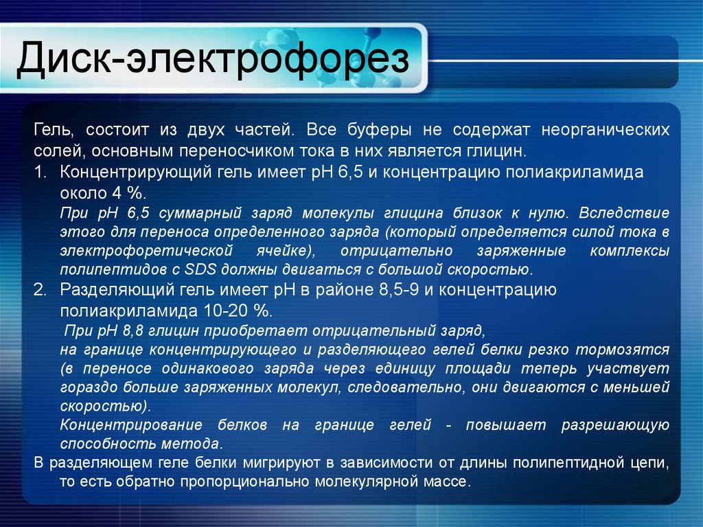 Секрет электрофорез. Диск электрофорез. Дисковый электрофорез. Принцип диск электрофореза. Концентрирующий и разделяющий гель электрофорез.