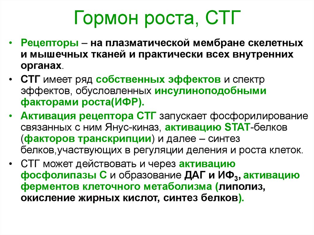 Соматотропный гормон презентация биохимия