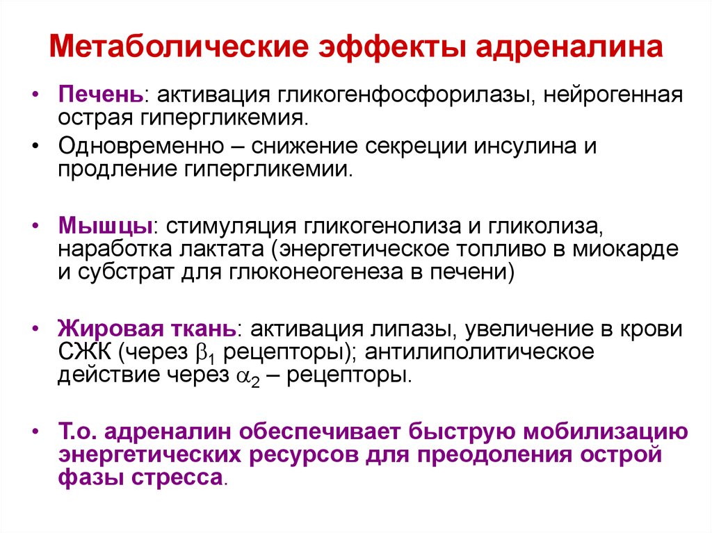 Адреналин обмен веществ. Метаболические эффекты адреналина. Метаболические эффекты адреналина и норадреналина. Метаболический эффект это. Основные физиологические эффекты адреналина.