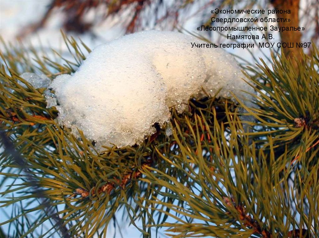 «Экономические района Свердловской области» «Лесопромышленное Зауралье» Намятова А.В. Учитель географии МОУ СОШ №97