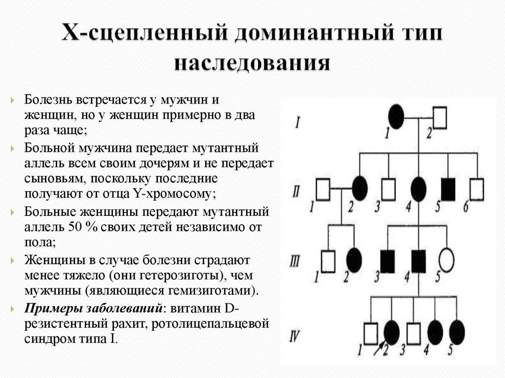 Х сцеплено у человека. Родословная с х-сцепленным доминантным типом наследования. Х сцепленный доминантный Тип наследования. X сцепленный доминантный Тип наследования признаки. Х-сцепленное доминантный Тип наследования схема.