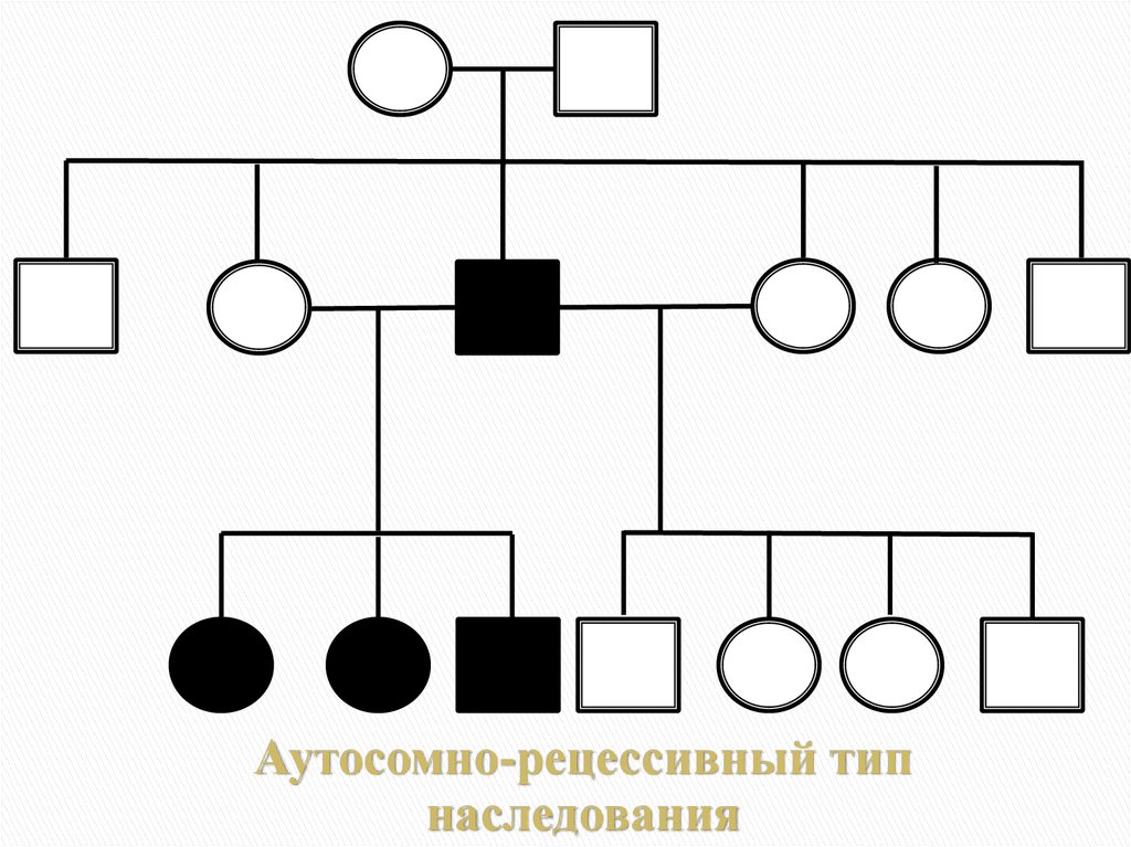 Рецессивный вид. Родословная генетика аутосомно рецессивное. Схема родословной с аутосомно рецессивным типом. Схема родословной аутосомно-рецессивный Тип наследования. Аутосомно-рецессивный Тип наследования.