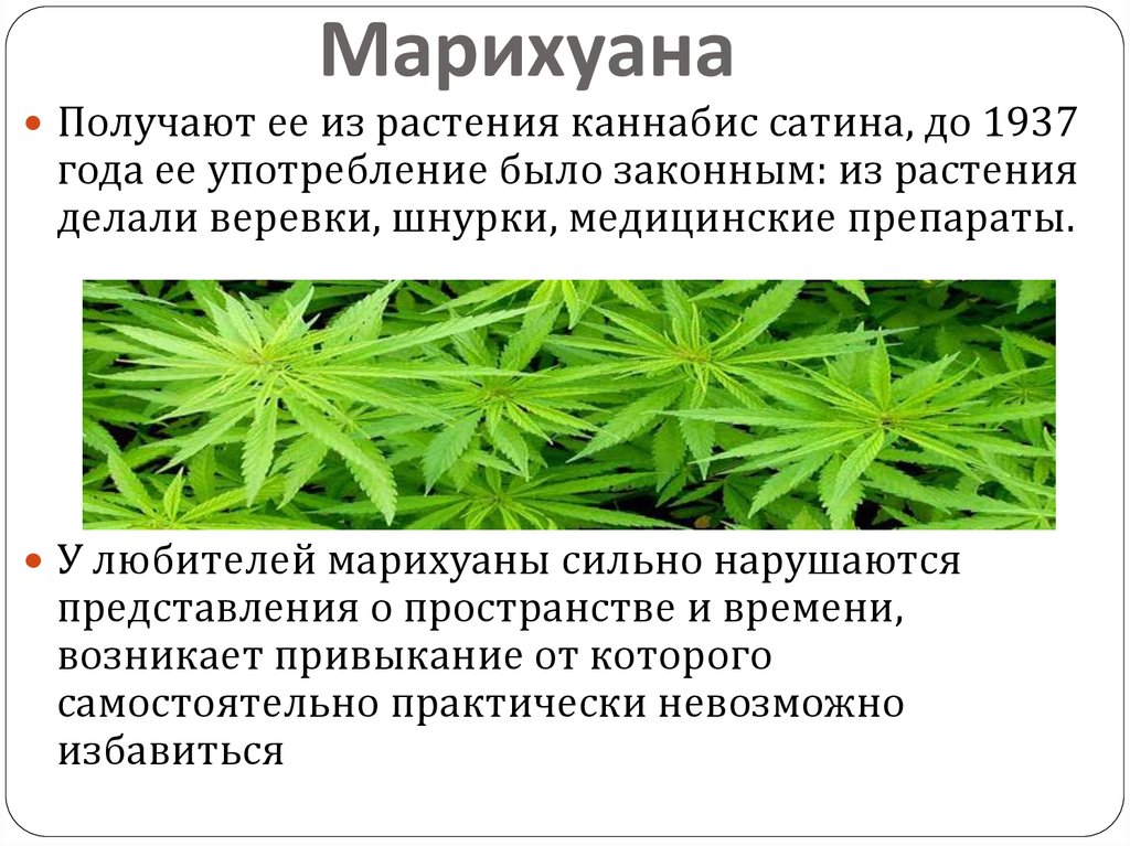 Наказание предусмотренное за употребление марихуаны семена сады россии интернет магазин каталог 2022