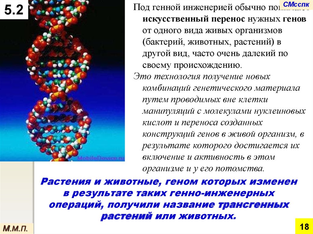 Какие проблемы решает генная инженерия. Современная генная инженерия. Метод генной инженерии в биологии. Задачи генной инженерии растений. Генная инженерия в селекции.