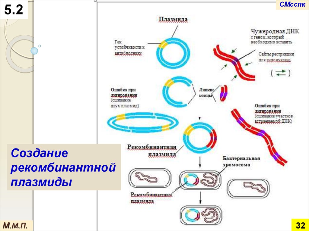 Методы введения плазмид. Метод получения рекомбинантных плазмид. Схема создания рекомбинантной ДНК. Схема получения рекомбинантной плазмиды. Метод рекомбинантных плазмид схема.