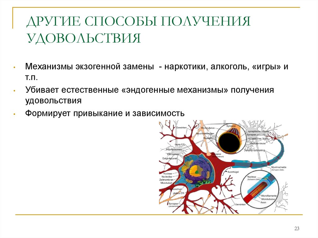 Получение удовлетворения. Способы получения удовольствия. Физические способы получения удовольствия. Эндогенная наркомания. Что такое удовольствие механизм.