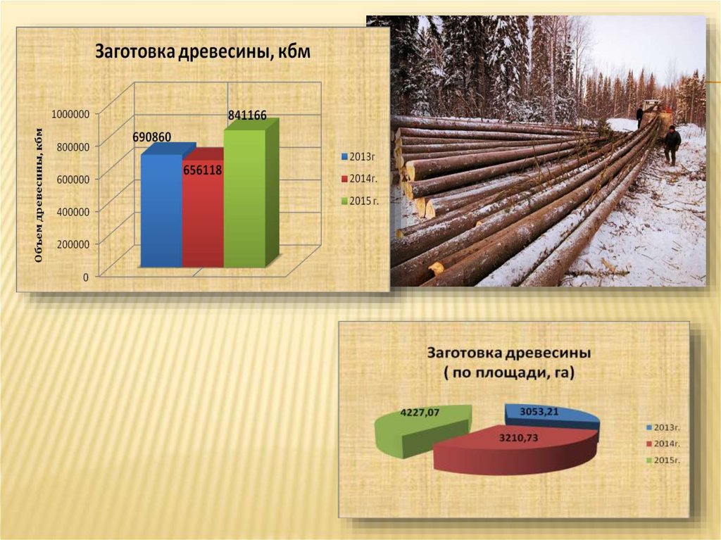 Площадь деревьев. Деревья на площади.