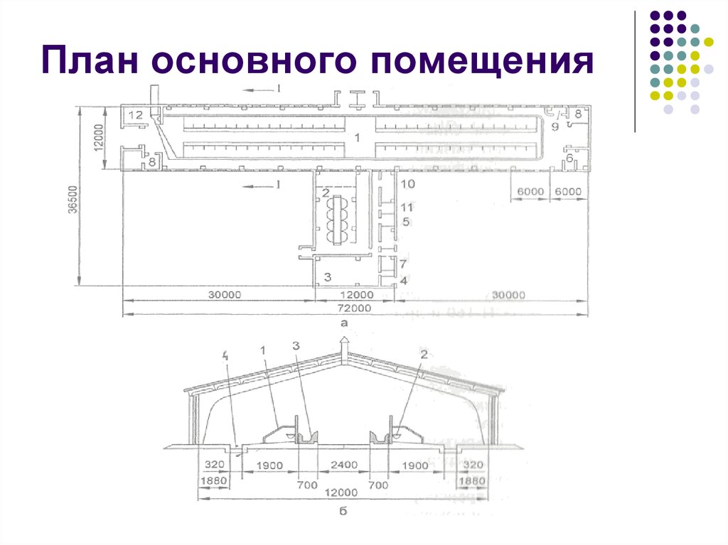 Основной план. Схема животноводческого помещения. Проектирование животноводческих помещений зоогигиена. Главный план. План в основном.