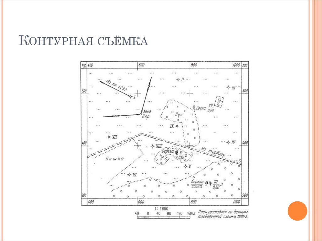 Построение топографического плана местности по результатам тахеометрической съемки