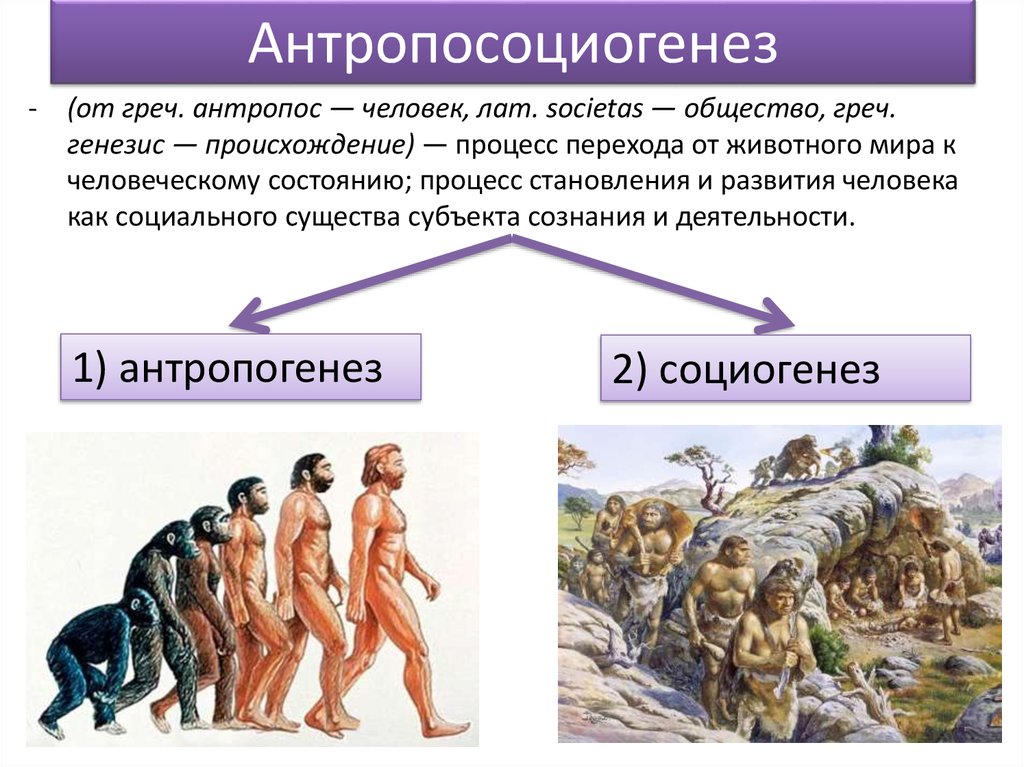 Условием развития человека егэ. Эволюционная концепция антропосоциогенеза. Концепция антропосоциогенеза Антропогенез. Процесс становления человека. Развитие человека.