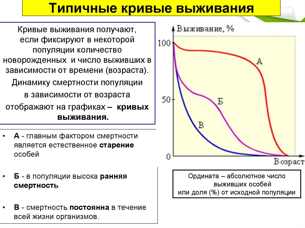 Основные кривые. Кривые выживания популяций. Динамика популяций кривые выживания. Основные типы кривых выживания и смертности.. Различные типы кривых выживания.