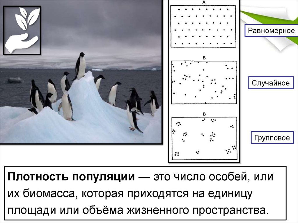 Равномерная структура