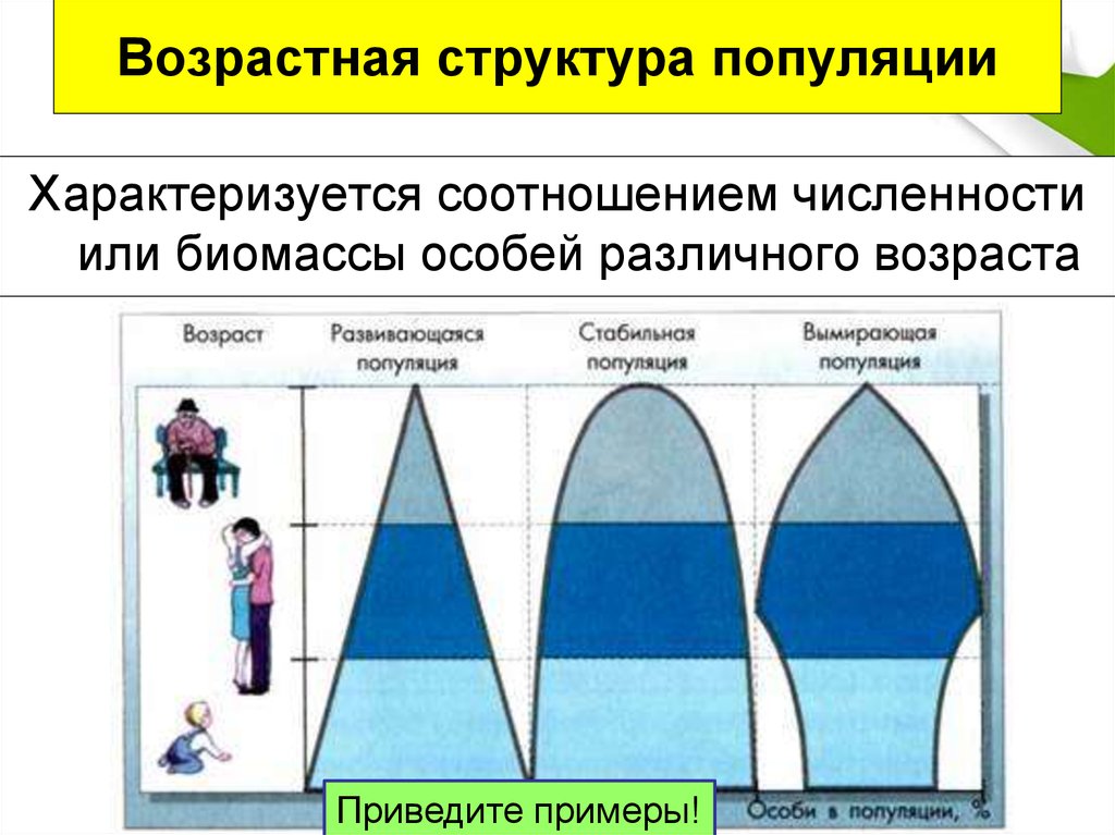 Типы возрастной структуры. Возрастная структура популяции примеры. Возрастная и пространственная структура популяций. Возрастная структура популяции характеризуется. Возрастной состав популяции.