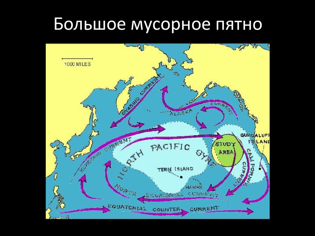 Большое тихоокеанское мусорное пятно презентация