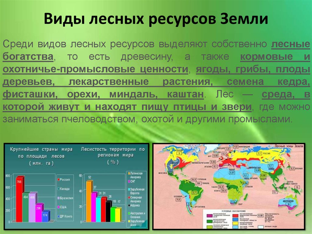 Природные ресурсы лесных зон россии. Особенности лесных ресурсов. Лесные ресурсы Америки.