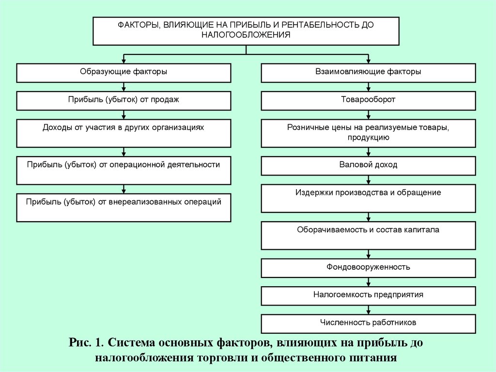 Факторы окружающей среды проекта которые могут повлиять на величину выручки от реализации продукции