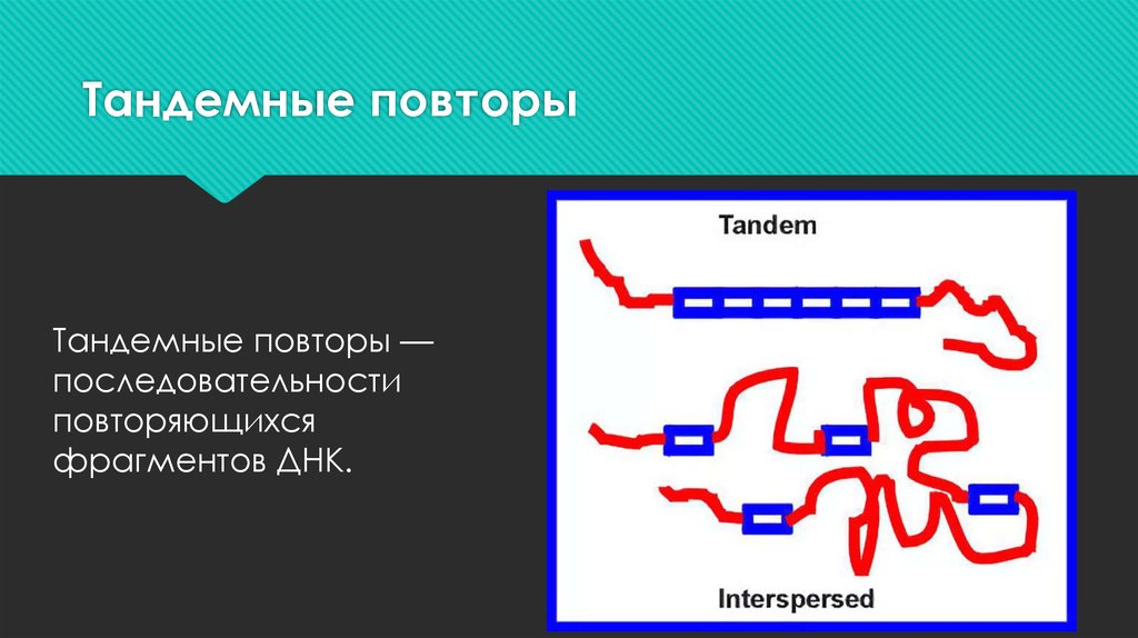 Brother повторы изображения