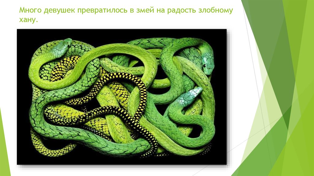 Много девушек превратилось в змей на радость злобному хану.