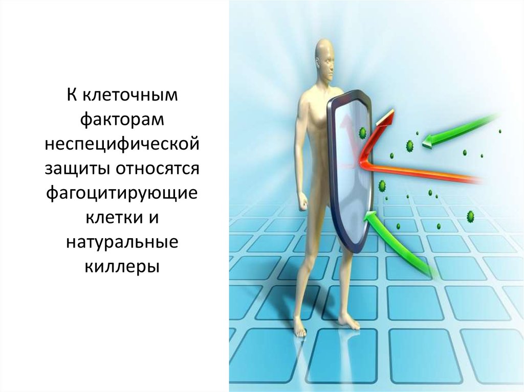 Клеточные факторы защиты