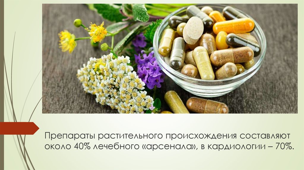 Лекарства растительного происхождения. Растительный антибиотик. Напитки растительного происхождения. Урологические препараты растительные.