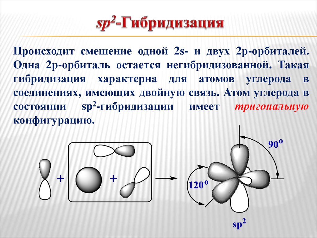 Молекулах есть двойная связь. Сп2 гибридизация орбиталей атомов углерода. Гибридные sp3 орбитали образуются. Схема образования sp2 гибридных орбиталей. Sp2 гибридизация атома углерода.
