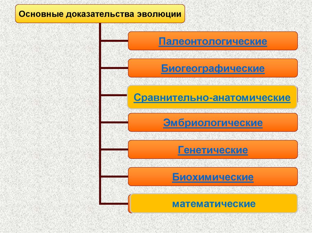 Схема доказательства эволюции 9 класс