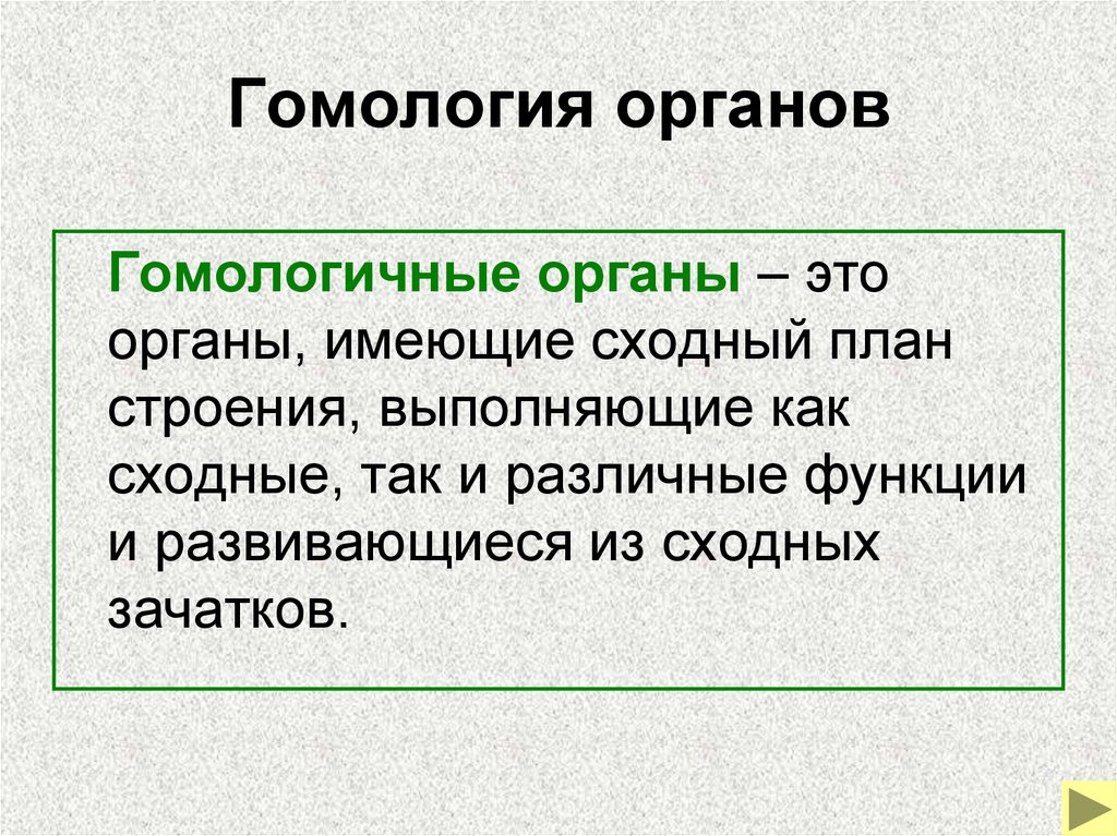 Органы выполняющие одинаковые функции но не имеющие сходного плана строения