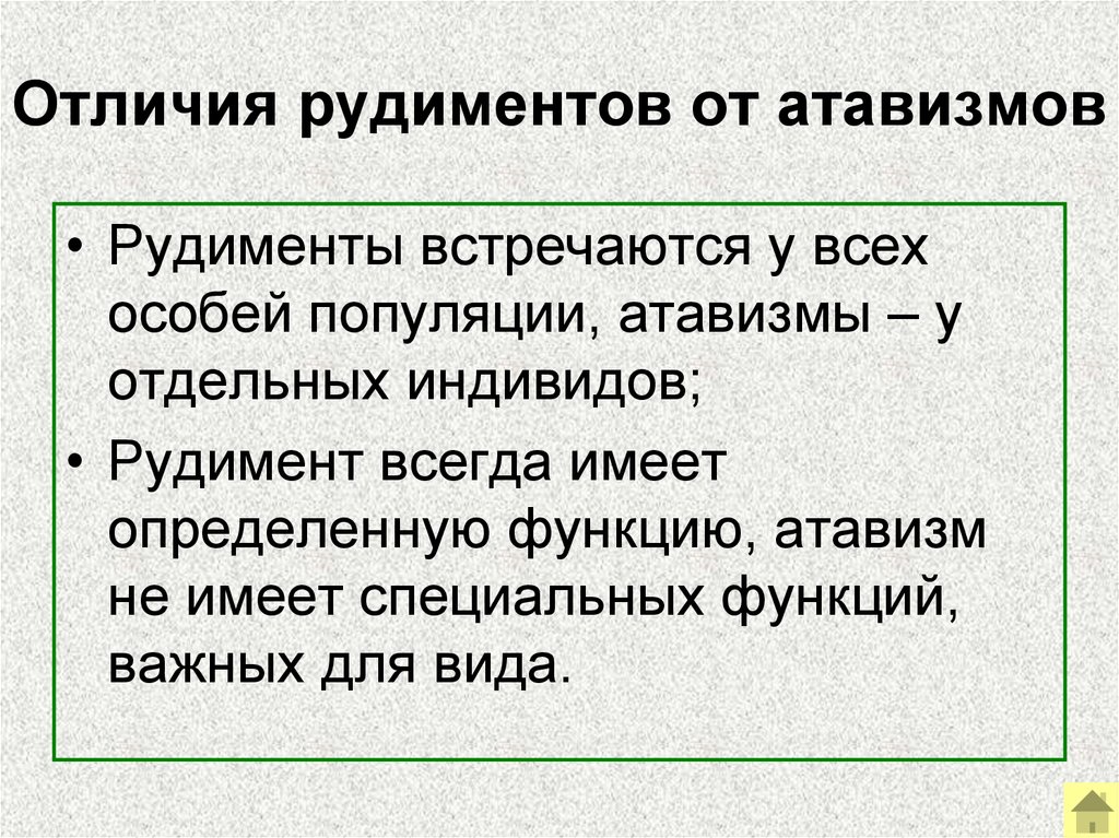 Презентация рудименты и атавизмы