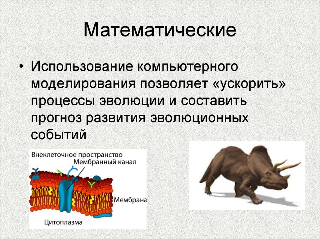 3 доказательства эволюции. Математические доказательства эволюции. Математические доказательства эволюции примеры. Компьютерное моделирование эволюционного процесса. Математическое доказание эволюции.