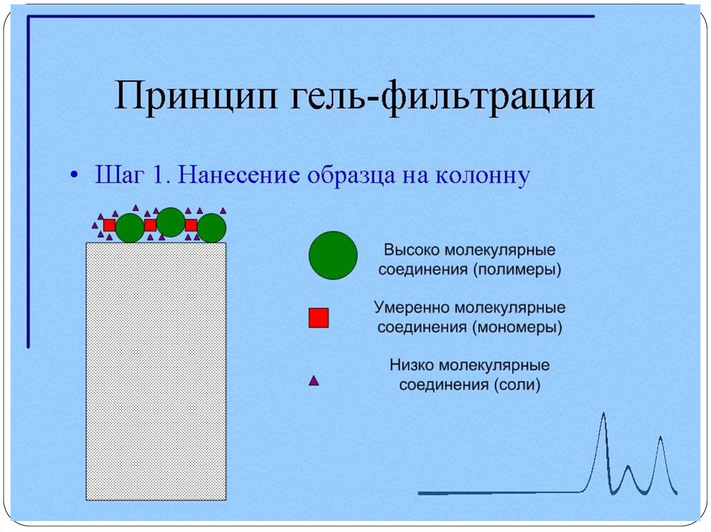 Метод гель фильтрации