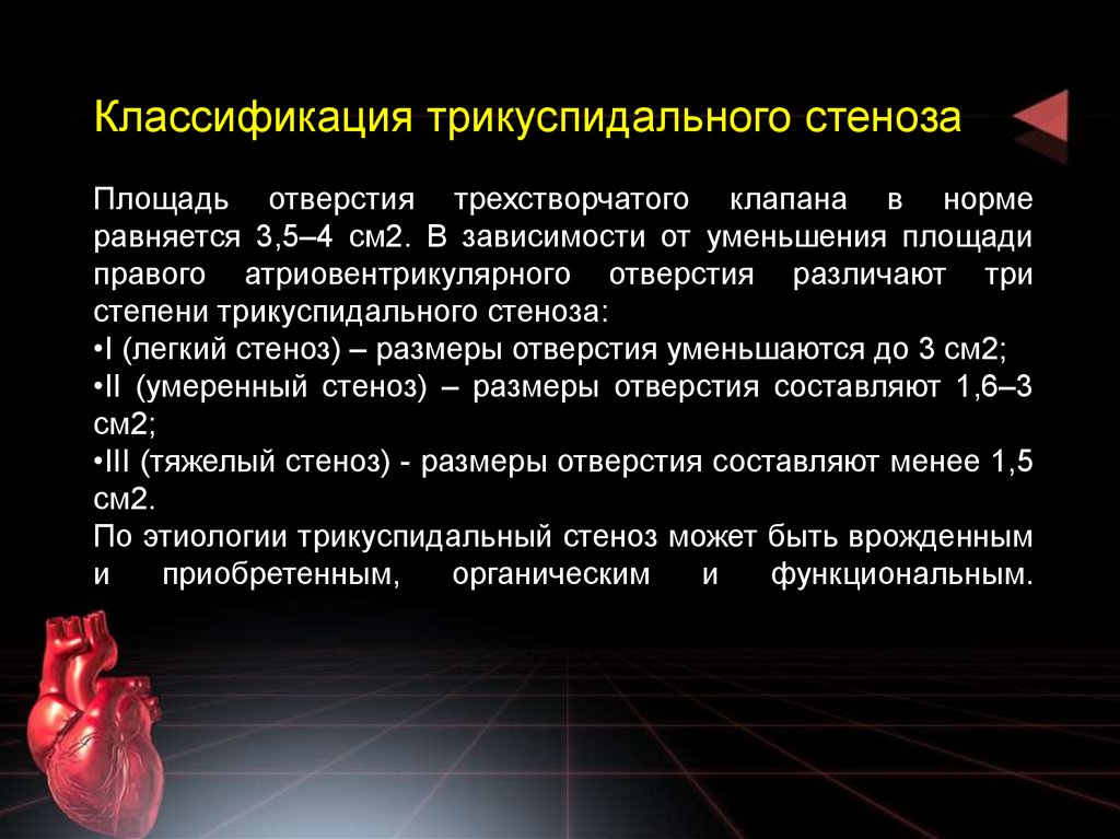 Трикуспидальная недостаточность презентация