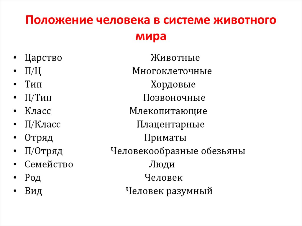 Составьте схему положения человека согласно критериям зоологической систематики