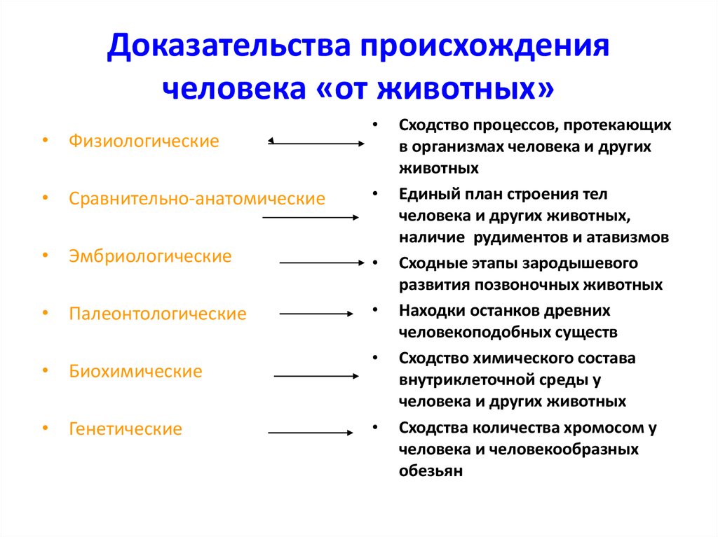 Докажите происхождение. Доказательство происхождения человека от животных таблица 8 класс. Таблица: 