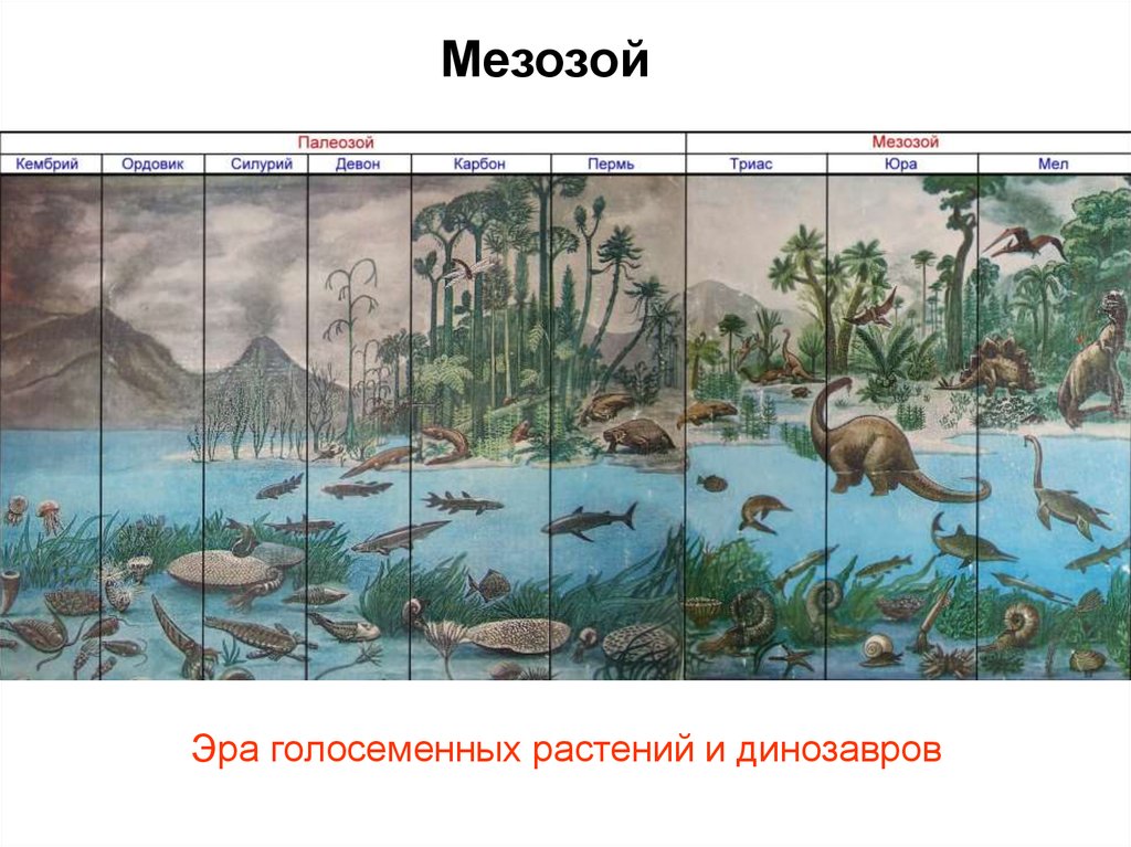 Презентация о эрах земли