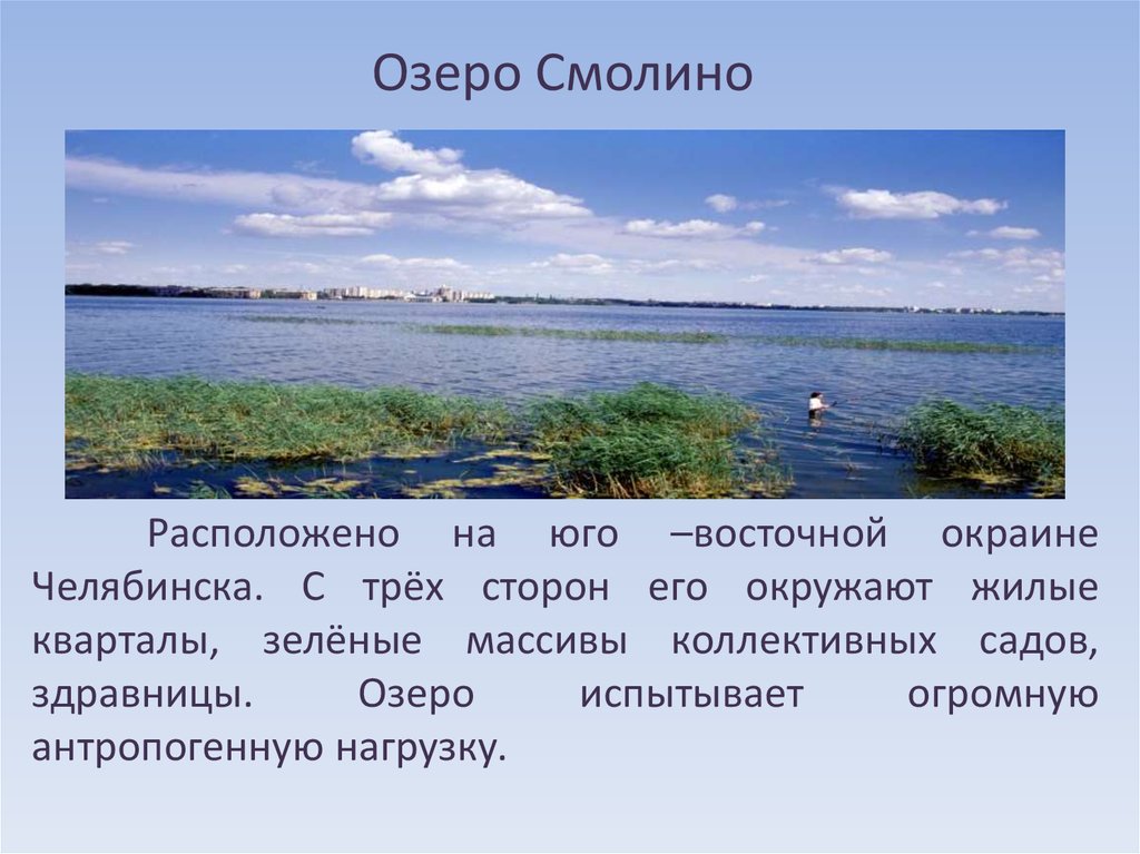 Какие водные объекты находятся в челябинской области. Смолино озеро. Озеро Смолино Челябинск. Растения озеро Смолино. Озеро Смолино информация.