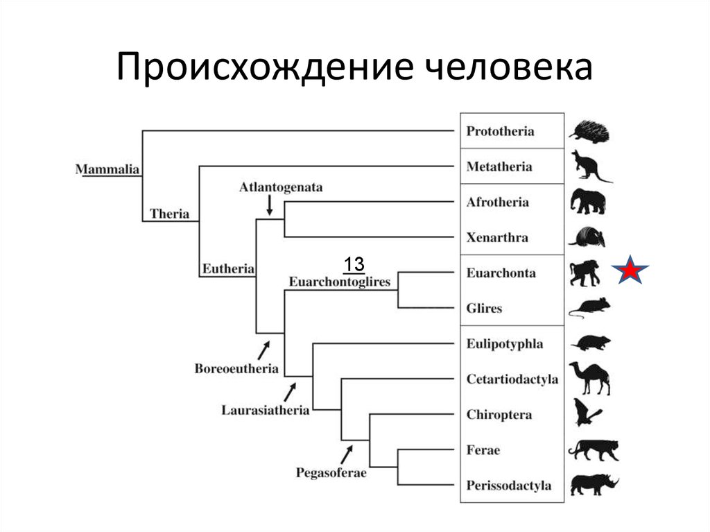 История появления схем