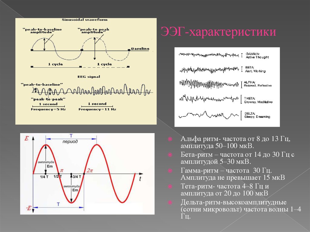 Амплитуда и частота. Гамма ритм ЭЭГ амплитуда. Амплитуда МКВ. Амплитуда Альфа ритма. Альфа ритм частота.